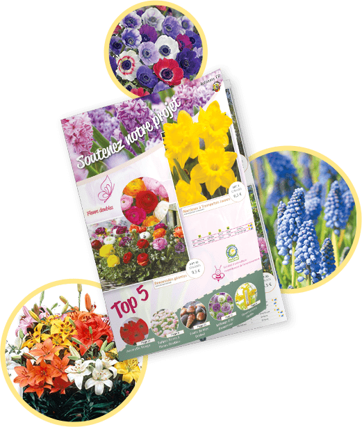 Catalogue de vente en ligne bulbes à fleurs pour les jardins