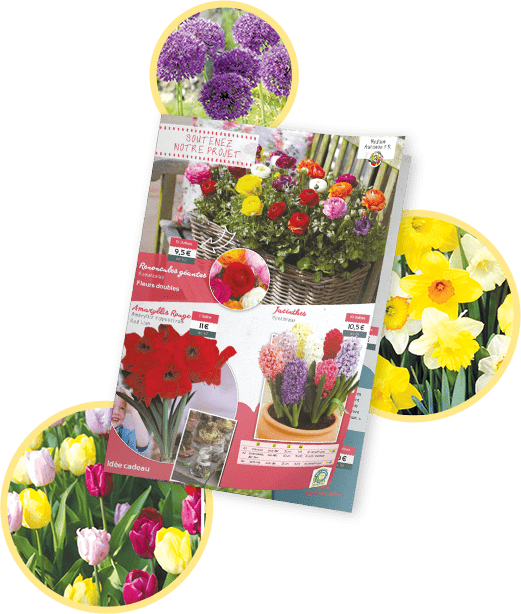 Fleurs d'automne pour le financement scolaire