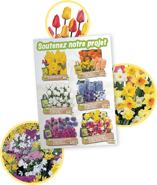 Fleurs d'automne pour l'association de parents d'élèves