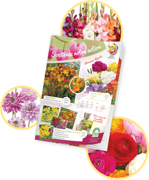 Fleurs de printemps pour le financement scolaire